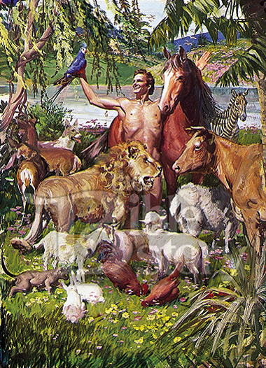 Adam With Animals
